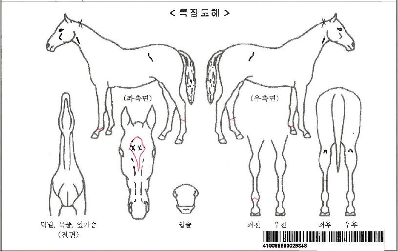 ���θ����ڸ��� ����,���,�޸�,�λ�,�ٸ��� Ư¡����