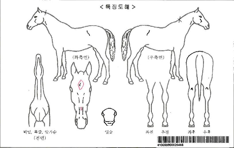 ������Ʈ�ڸ��� ����,���,�޸�,�λ�,�ٸ��� Ư¡����