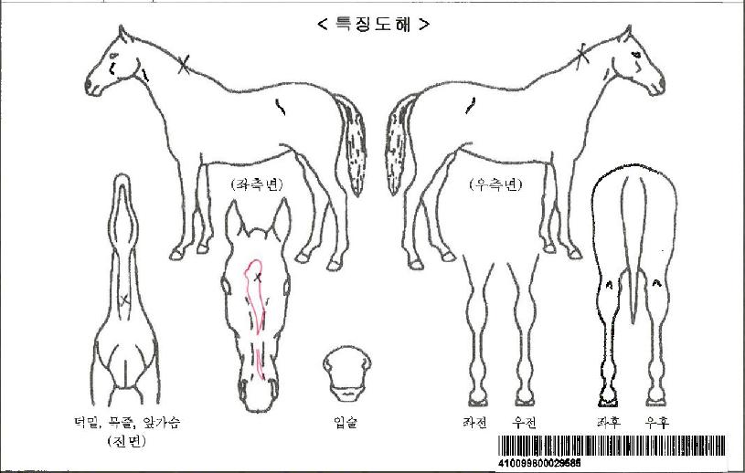 Å¥Çǵ座ÀÚ¸¶ÀÇ Ãø¸é,¿ì¸é,µÞ¸é,µÎ»ó,´Ù¸®ÀÇ Æ¯Â¡µµÇØ