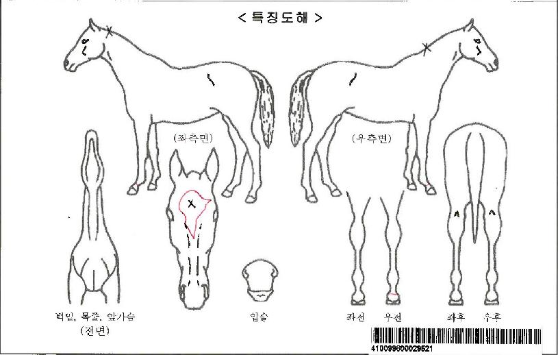 ���Ͻ��ڸ��� ����,���,�޸�,�λ�,�ٸ��� Ư¡����