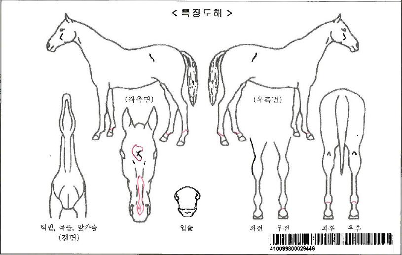 ¾Æ½ºÆ®·°¾î°ÔÀÎÀÚ¸¶ÀÇ Ãø¸é,¿ì¸é,µÞ¸é,µÎ»ó,´Ù¸®ÀÇ Æ¯Â¡µµÇØ