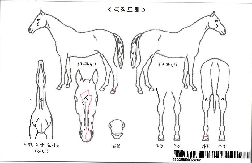 ���ʷ������ڸ��� ����,���,�޸�,�λ�,�ٸ��� Ư¡����