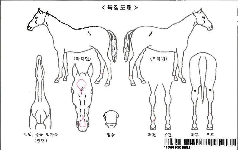 ��ũ����Ʈ�ڸ��� ����,���,�޸�,�λ�,�ٸ��� Ư¡����