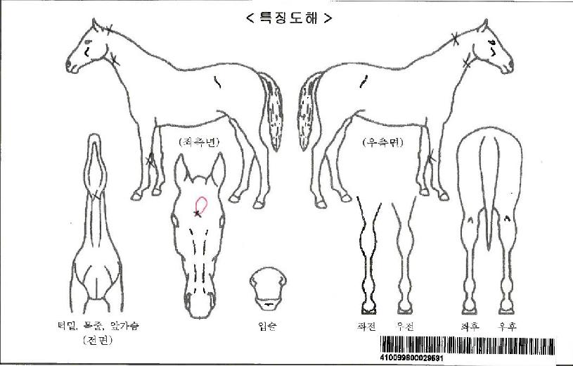 ÇØ¿î´ë±â»óÀÚ¸¶ÀÇ Ãø¸é,¿ì¸é,µÞ¸é,µÎ»ó,´Ù¸®ÀÇ Æ¯Â¡µµÇØ