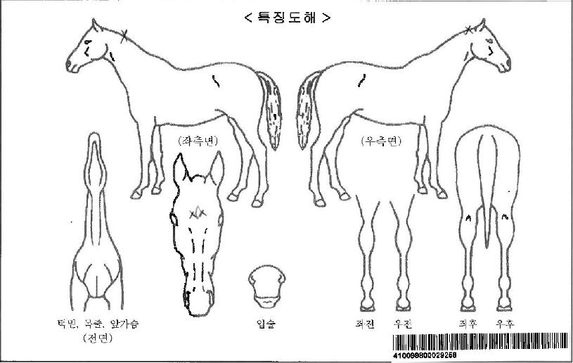 ��ٸ��ϴ��ڸ��� ����,���,�޸�,�λ�,�ٸ��� Ư¡����