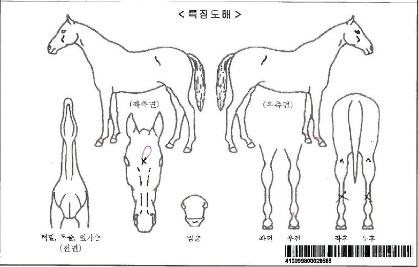 ���忣���ڸ��� ����,���,�޸�,�λ�,�ٸ��� Ư¡����