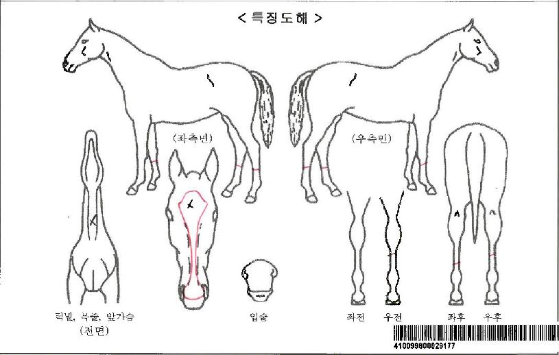 ���̺��丮�Ʒ����ڸ��� ����,���,�޸�,�λ�,�ٸ��� Ư¡����