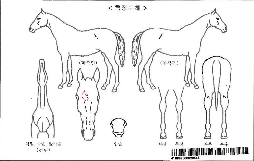 �ν����̼��ڸ��� ����,���,�޸�,�λ�,�ٸ��� Ư¡����