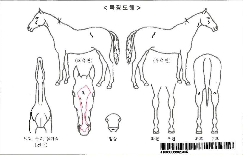 ±Â¼ÎÆÛµåÀÚ¸¶ÀÇ Ãø¸é,¿ì¸é,µÞ¸é,µÎ»ó,´Ù¸®ÀÇ Æ¯Â¡µµÇØ