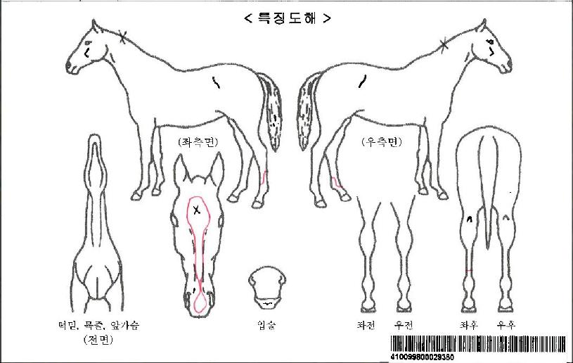 ��������Ƽ�ڸ��� ����,���,�޸�,�λ�,�ٸ��� Ư¡����