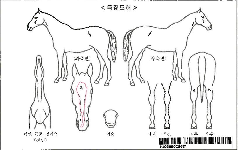 ��Ʈ�κ������̺��ڸ��� ����,���,�޸�,�λ�,�ٸ��� Ư¡����