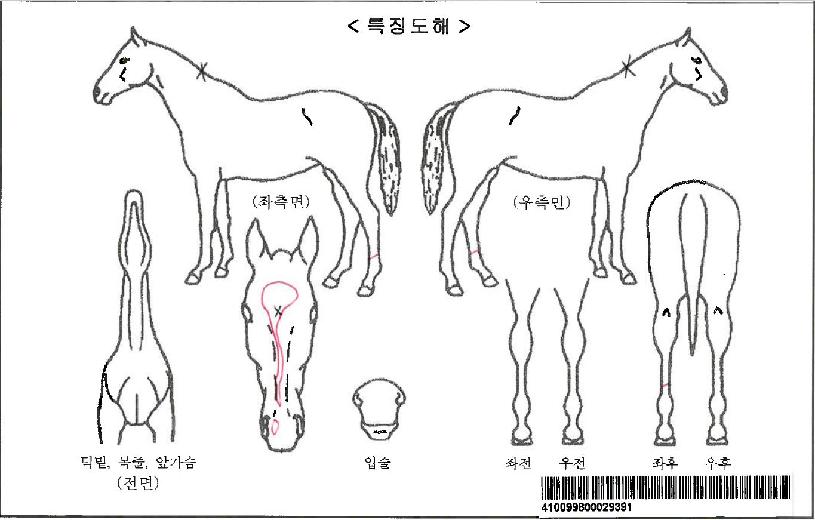 �޴ٱ۷θ����ڸ��� ����,���,�޸�,�λ�,�ٸ��� Ư¡����