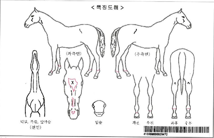 ÆÈ¸ÞÅäÇ÷¡ÅÍÀÚ¸¶ÀÇ Ãø¸é,¿ì¸é,µÞ¸é,µÎ»ó,´Ù¸®ÀÇ Æ¯Â¡µµÇØ