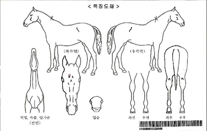 ����ȯ���ڸ��� ����,���,�޸�,�λ�,�ٸ��� Ư¡����