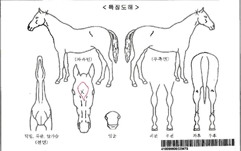 ÆÄ¿ïÇ÷¹ÀÌÀÚ¸¶ÀÇ Ãø¸é,¿ì¸é,µÞ¸é,µÎ»ó,´Ù¸®ÀÇ Æ¯Â¡µµÇØ