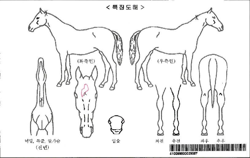 ����ź���ڸ��� ����,���,�޸�,�λ�,�ٸ��� Ư¡����