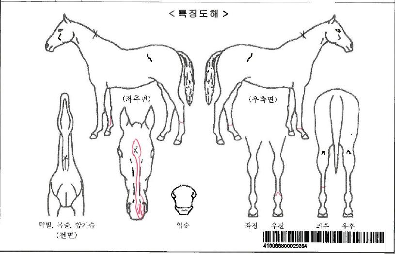 �޴ϸӴ��ڸ��� ����,���,�޸�,�λ�,�ٸ��� Ư¡����