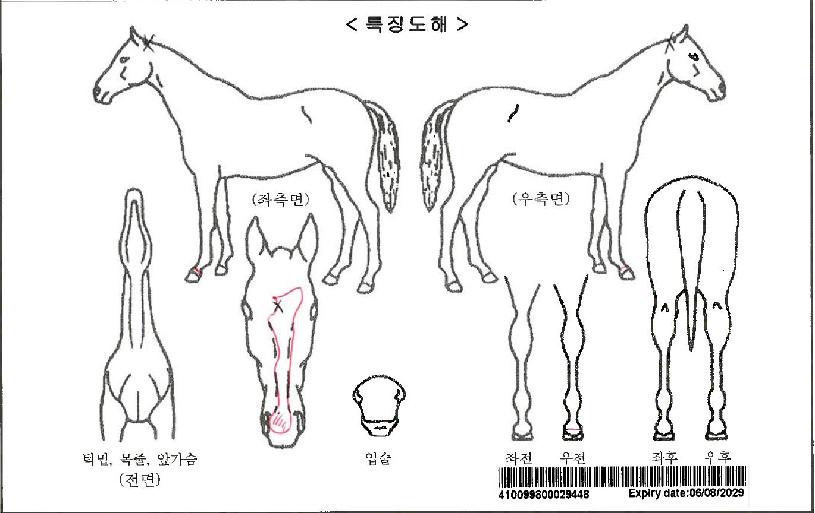 ������Ʈ�޼��ڸ��� ����,���,�޸�,�λ�,�ٸ��� Ư¡����