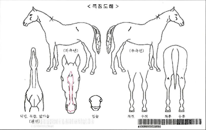 ���׺����ڸ��� ����,���,�޸�,�λ�,�ٸ��� Ư¡����