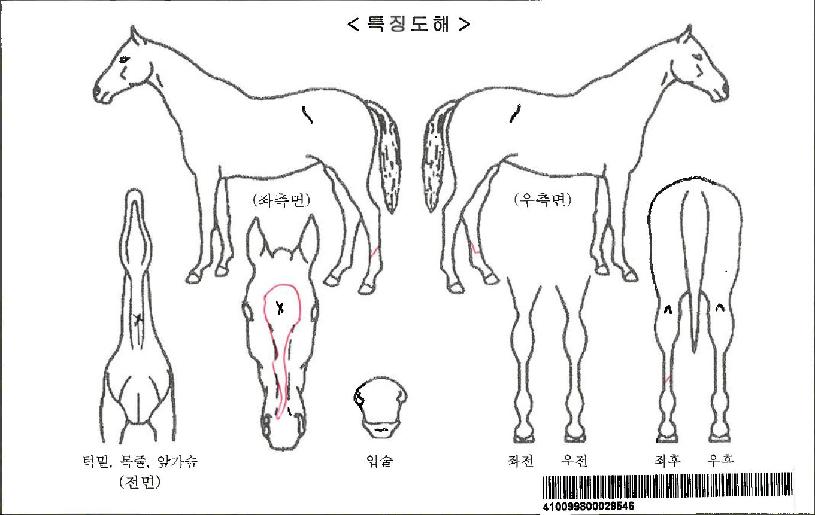 �̱׷����ʿ��ڸ��� ����,���,�޸�,�λ�,�ٸ��� Ư¡����