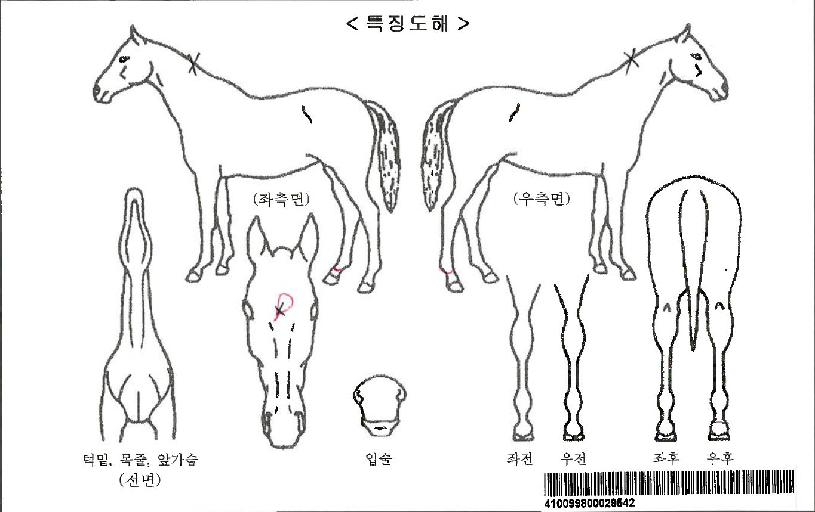 �ҿ��������ڸ��� ����,���,�޸�,�λ�,�ٸ��� Ư¡����