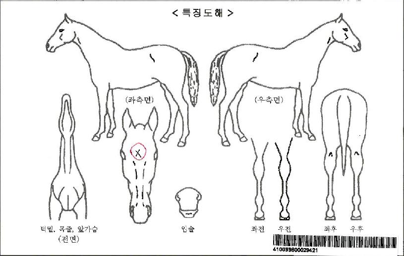 ����¡�ڸ����ڸ��� ����,���,�޸�,�λ�,�ٸ��� Ư¡����