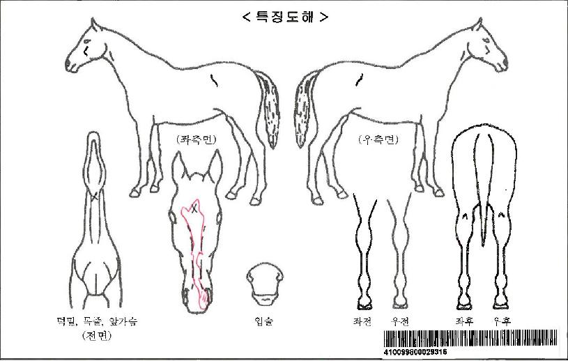 ��ī���������ڸ��� ����,���,�޸�,�λ�,�ٸ��� Ư¡����