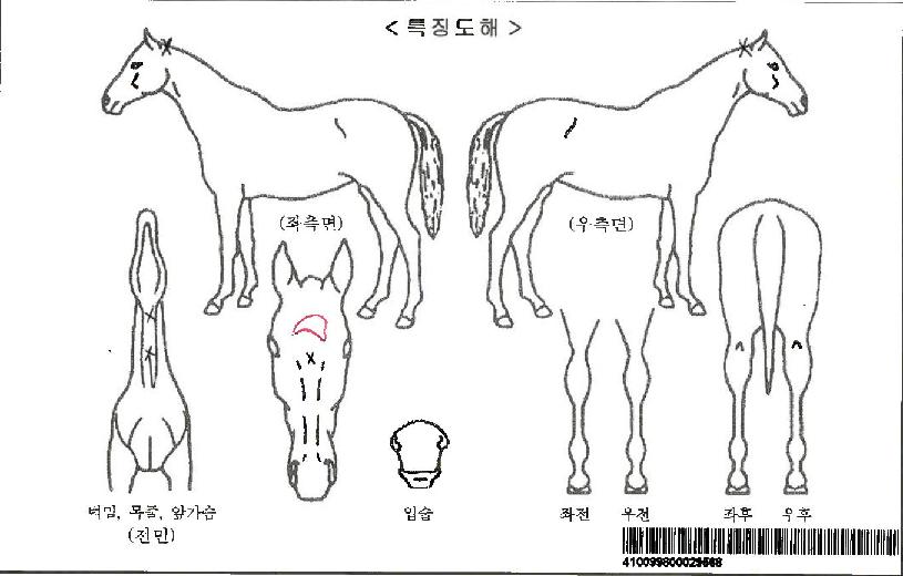 ¶óÀÌÆ®Ä¹ÀÚ¸¶ÀÇ Ãø¸é,¿ì¸é,µÞ¸é,µÎ»ó,´Ù¸®ÀÇ Æ¯Â¡µµÇØ