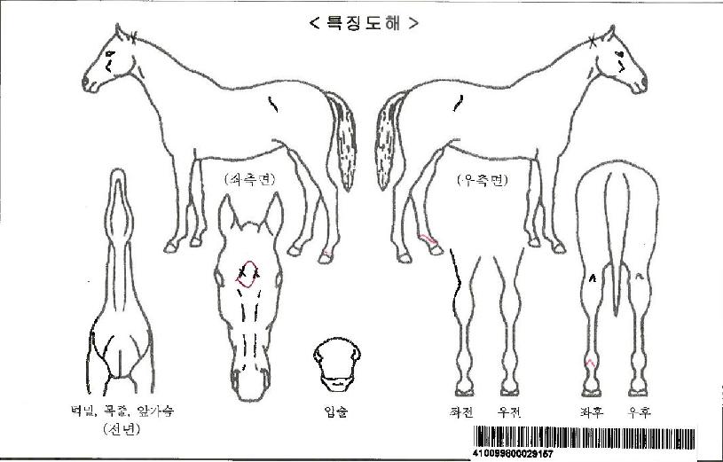 ��������Ÿ�ڸ��� ����,���,�޸�,�λ�,�ٸ��� Ư¡����