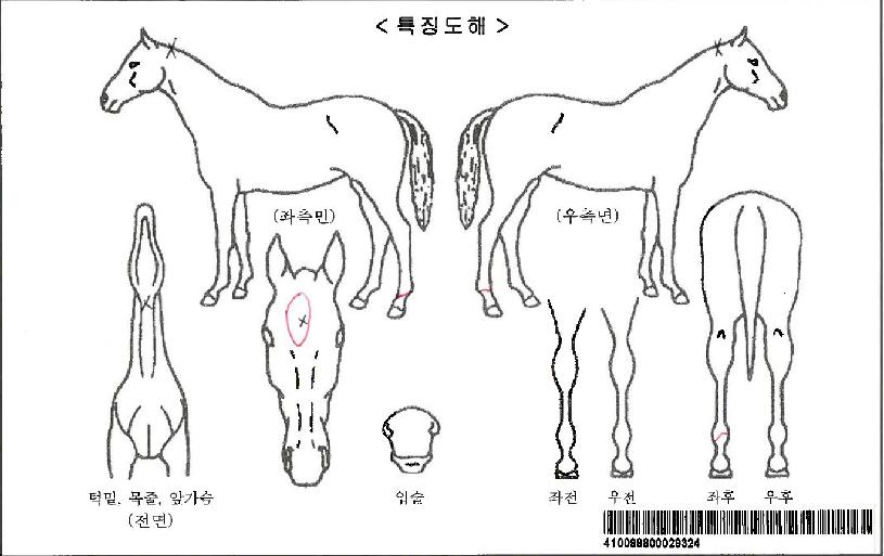 ũ������ڸ��� ����,���,�޸�,�λ�,�ٸ��� Ư¡����