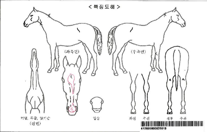 Å×ÀÌÅ©ÇÏÆ®ÀÚ¸¶ÀÇ Ãø¸é,¿ì¸é,µÞ¸é,µÎ»ó,´Ù¸®ÀÇ Æ¯Â¡µµÇØ