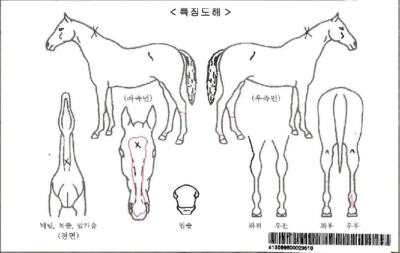 ½º¸¶Æ®¾îÆ®·¢¼ÇÀÚ¸¶ÀÇ Ãø¸é,¿ì¸é,µÞ¸é,µÎ»ó,´Ù¸®ÀÇ Æ¯Â¡µµÇØ