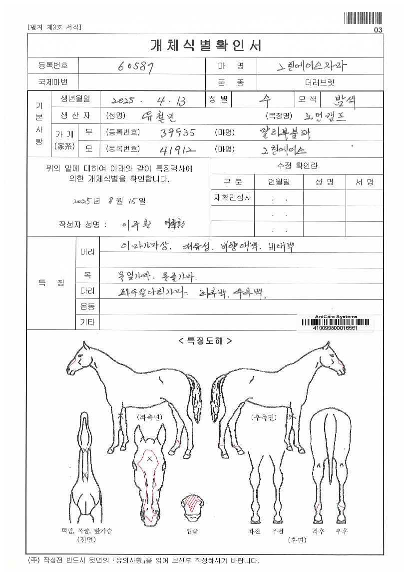 ±×¸°¿¡À̽ºÀÚ¸¶ÀÇ Ãø¸é,¿ì¸é,µÞ¸é,µÎ»ó,´Ù¸®ÀÇ Æ¯Â¡µµÇØ