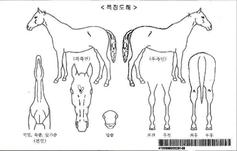 ȭ��Ʈ��ġ�ڸ��� ����,���,�޸�,�λ�,�ٸ��� Ư¡����