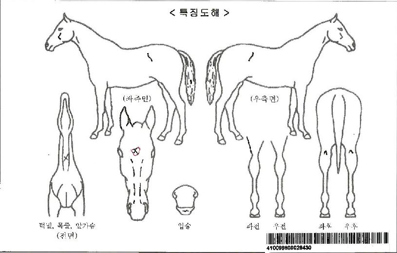 ���̽������ڸ��� ����,���,�޸�,�λ�,�ٸ��� Ư¡����