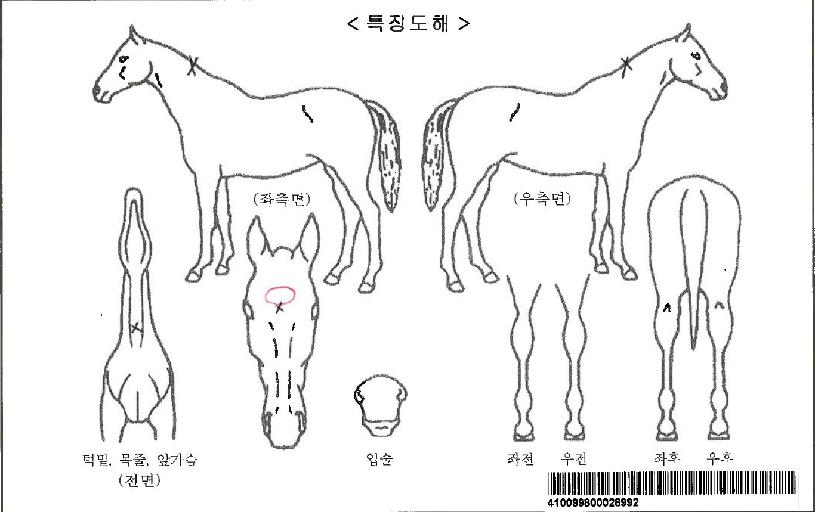 Űư�������ڸ��� ����,���,�޸�,�λ�,�ٸ��� Ư¡����