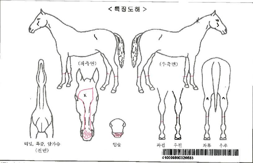 ����Ʈ�������ڸ��� ����,���,�޸�,�λ�,�ٸ��� Ư¡����