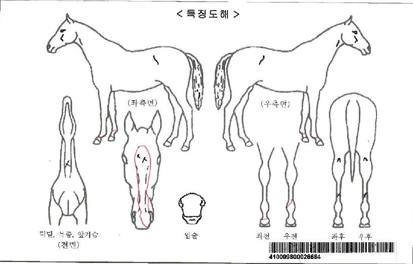 À§³ÊÅÛÇ÷¯ÀÚ¸¶ÀÇ Ãø¸é,¿ì¸é,µÞ¸é,µÎ»ó,´Ù¸®ÀÇ Æ¯Â¡µµÇØ