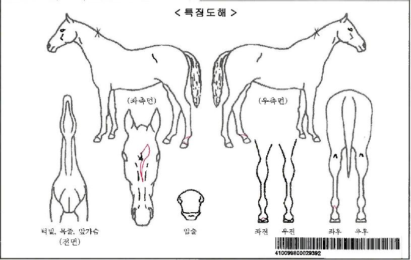 ��ũ�̴Ͻ����ڸ��� ����,���,�޸�,�λ�,�ٸ��� Ư¡����