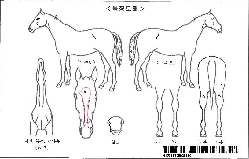 ����ũ�ڸ��� ����,���,�޸�,�λ�,�ٸ��� Ư¡����