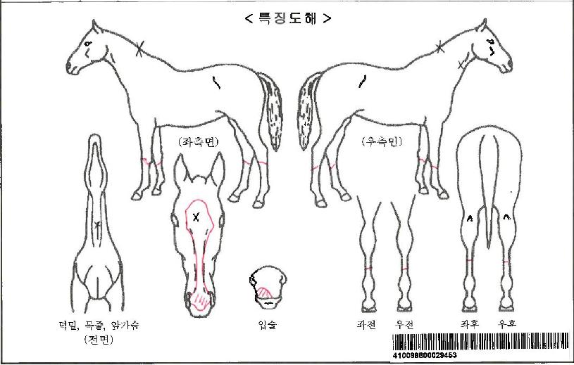 ��������ڸ��� ����,���,�޸�,�λ�,�ٸ��� Ư¡����