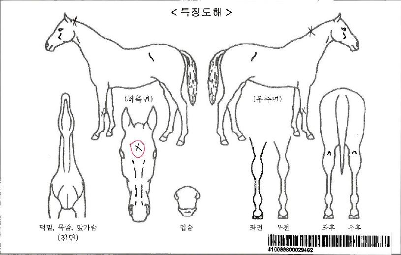 ������Ÿ���ڸ��� ����,���,�޸�,�λ�,�ٸ��� Ư¡����