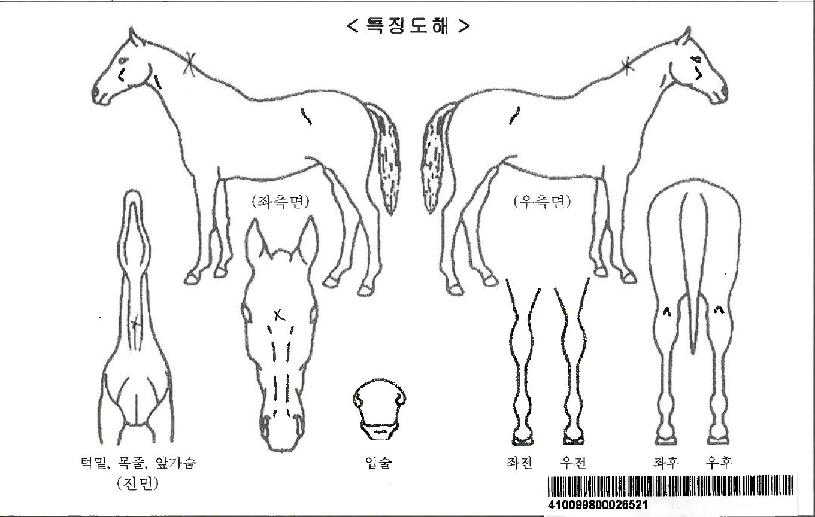 �������ڸ��� ����,���,�޸�,�λ�,�ٸ��� Ư¡����