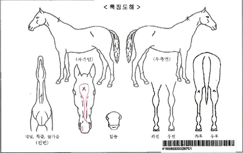 �������ڸ��� ����,���,�޸�,�λ�,�ٸ��� Ư¡����