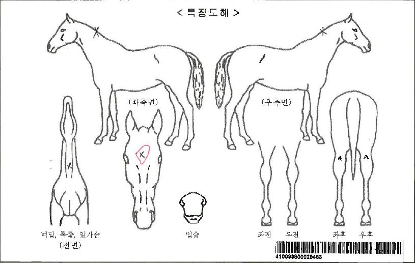 Ŭ����ũ�������ڸ��� ����,���,�޸�,�λ�,�ٸ��� Ư¡����