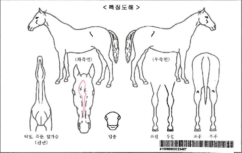 ÀÌ¿ùÀÚ¸¶ÀÇ Ãø¸é,¿ì¸é,µÞ¸é,µÎ»ó,´Ù¸®ÀÇ Æ¯Â¡µµÇØ