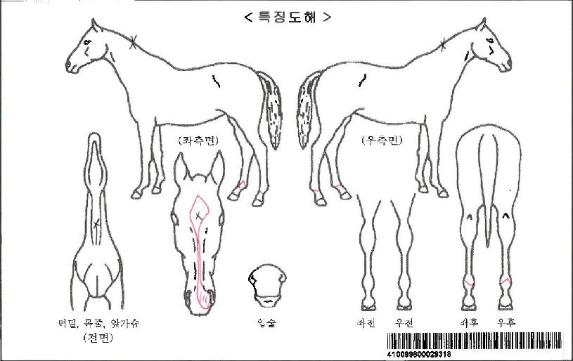 �Ƶ��������ڸ��� ����,���,�޸�,�λ�,�ٸ��� Ư¡����