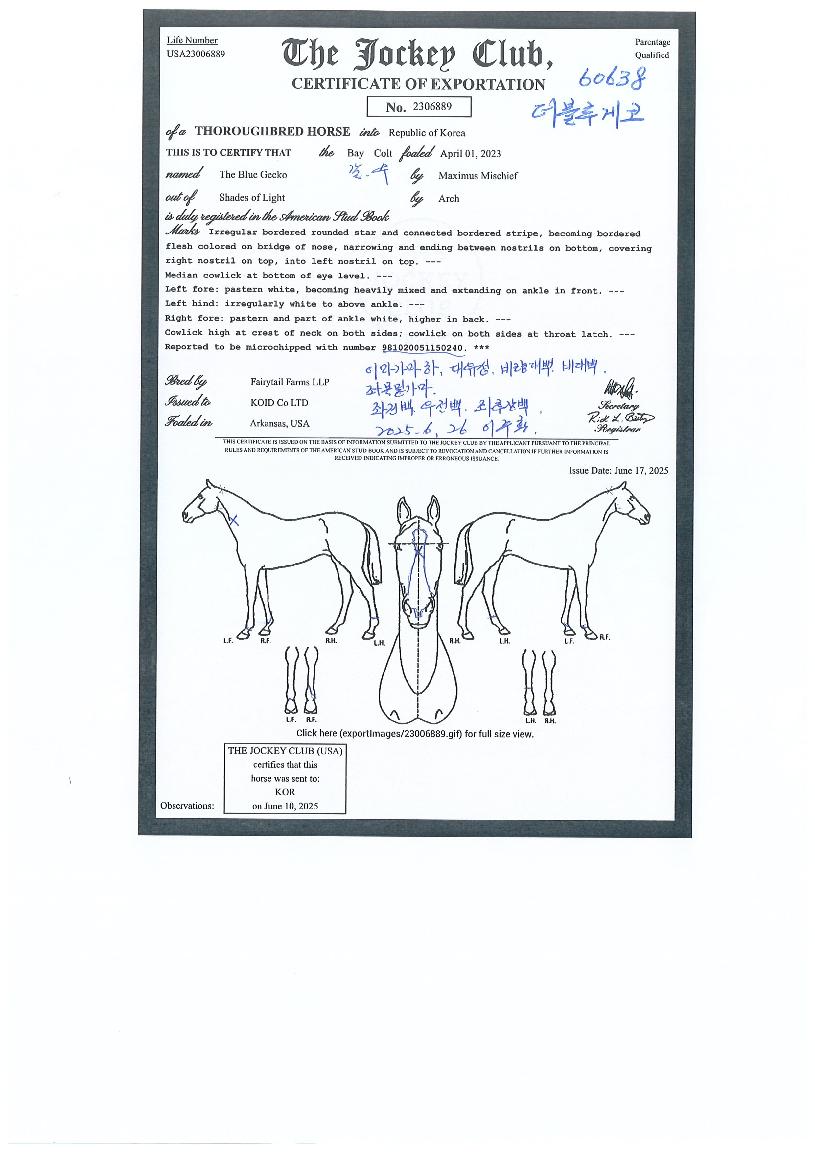 ¥�����ູ�� ����,���,�޸�,�λ�,�ٸ��� Ư¡����