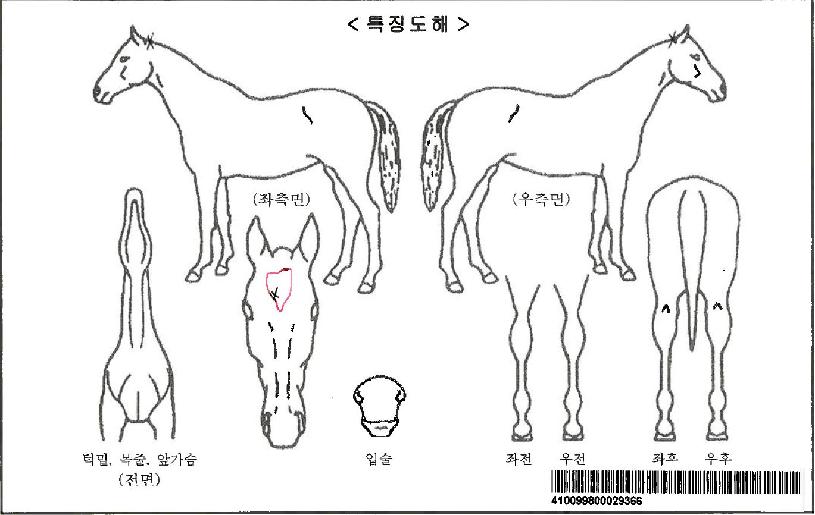 �̽������̵���ڸ��� ����,���,�޸�,�λ�,�ٸ��� Ư¡����