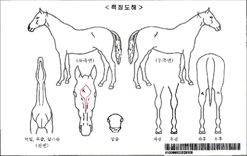 �ݼ������ڸ��� ����,���,�޸�,�λ�,�ٸ��� Ư¡����